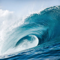 Sea Notes