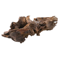Agarwood