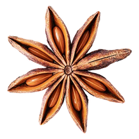 Anise