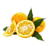 Bitter Orange