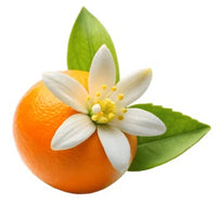 Bitter Orange Blossom