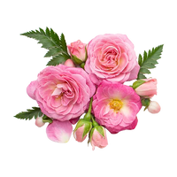 Floral Notes