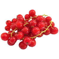 Red Berries