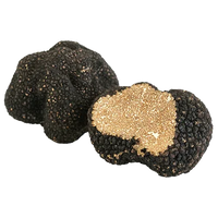 Truffle