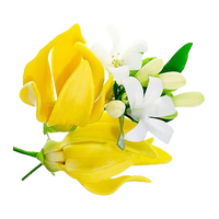 Ylang Ylang