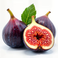 Fig